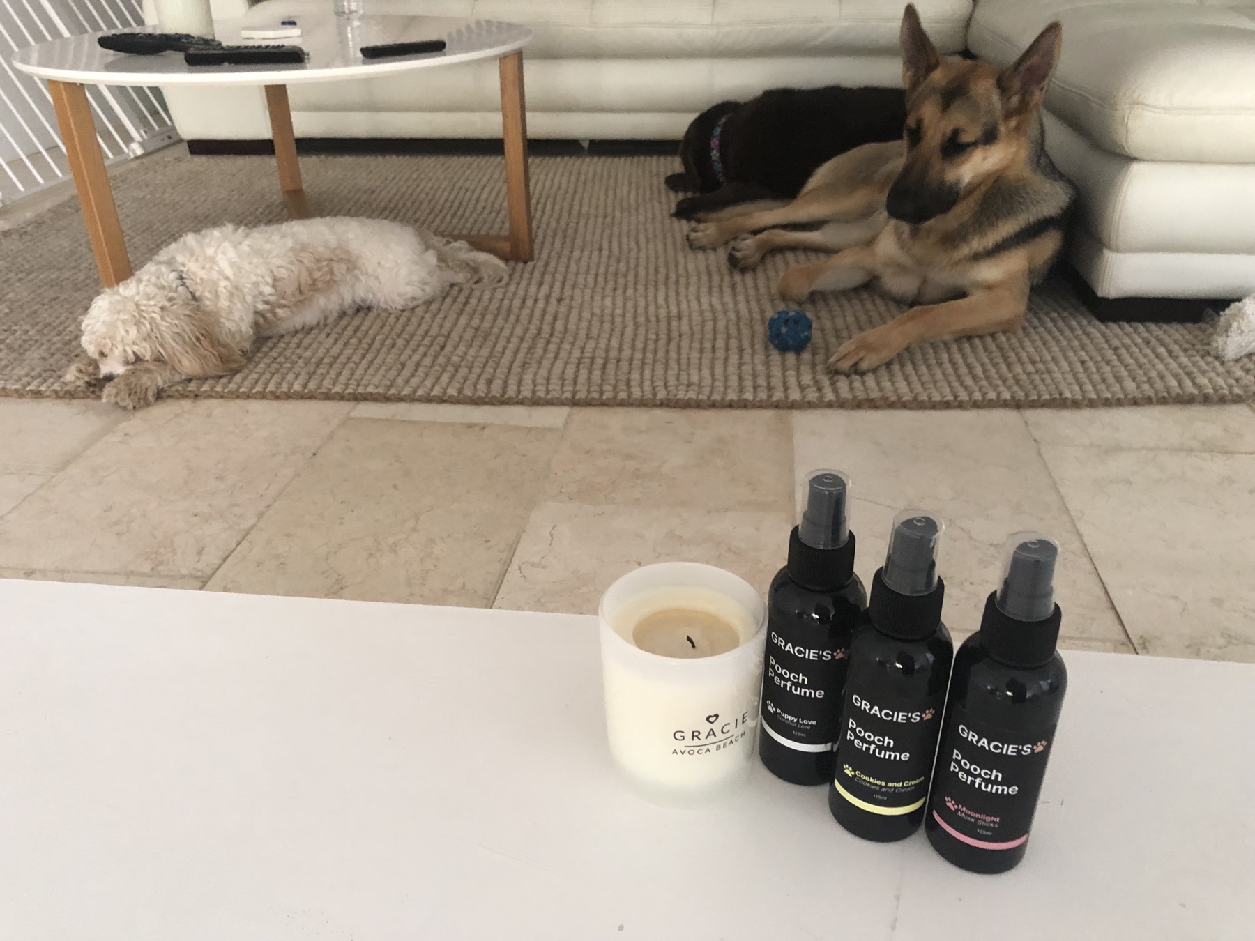 Three of our dogs relaxing on the rug behind bottles of Gracie's Pooch Perfume